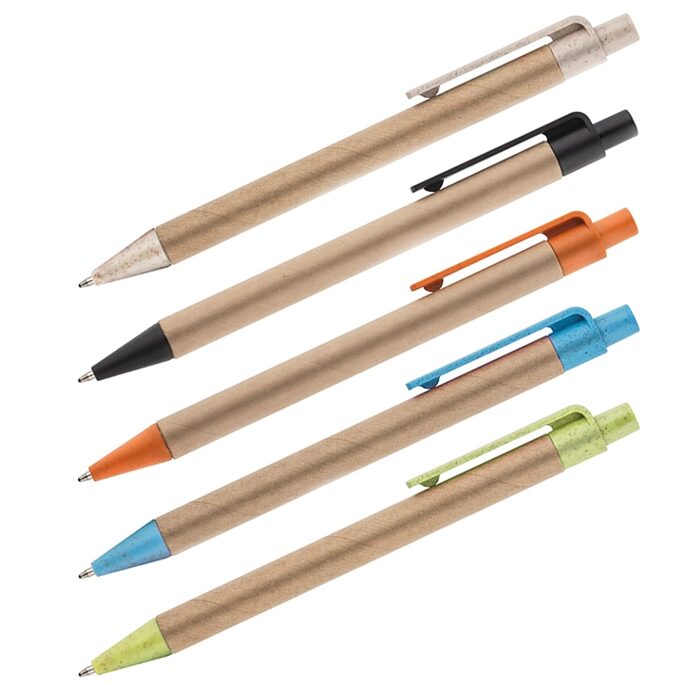 Pildspalvas AS19662
