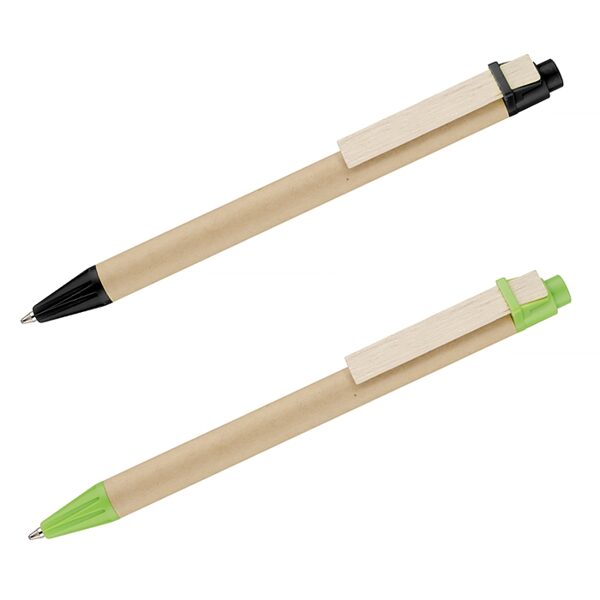 Pildspalvas AS19216